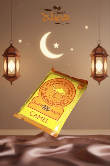 قمر دين الجمل