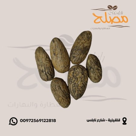 عصا موسى ( فونيا )