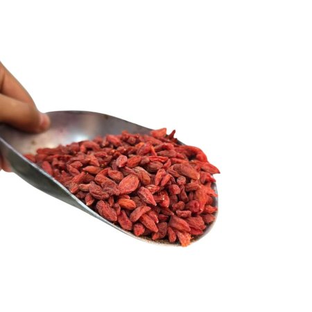 البربرين